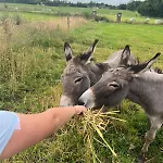 Le Hameau Paisible 빌라 *