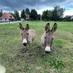 Le Hameau Paisible * Butot