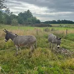 Le Hameau Paisible 빌라 Butot