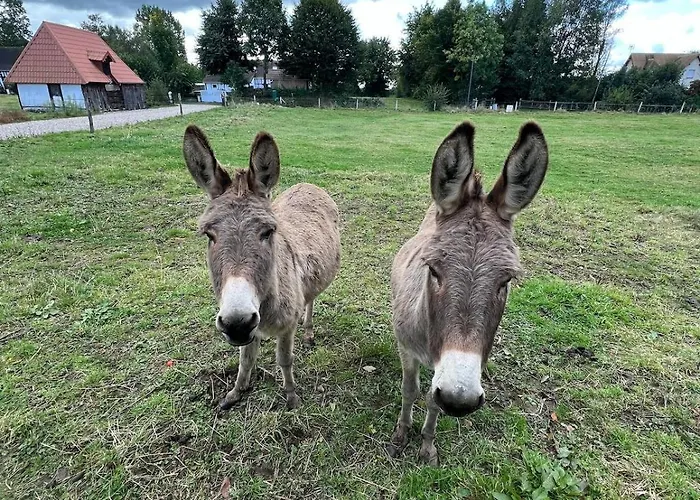 Le Hameau Paisible * Butot