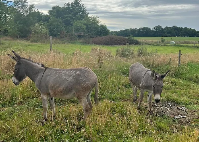 Le Hameau Paisible Villa Butot